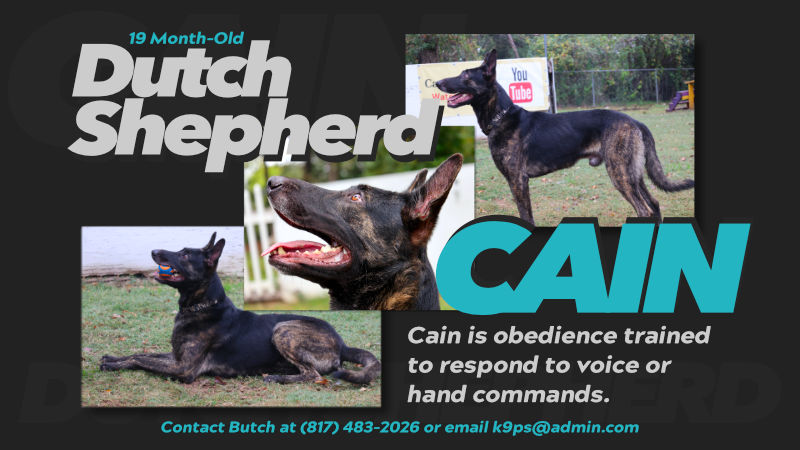 Cain